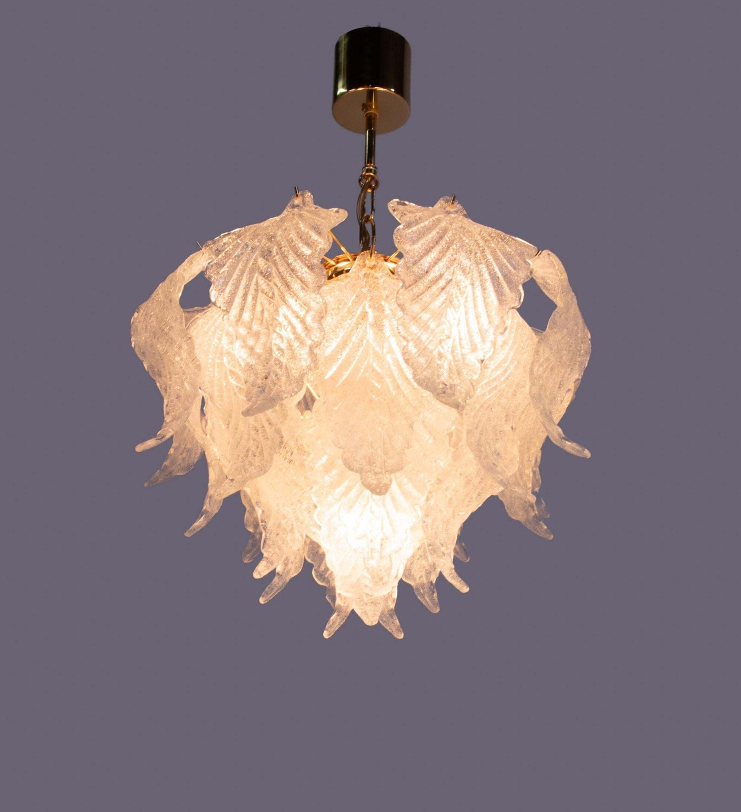 Novaresi Murano Petals Chandelier Glass & Brass, Italy 1970s photo furniture