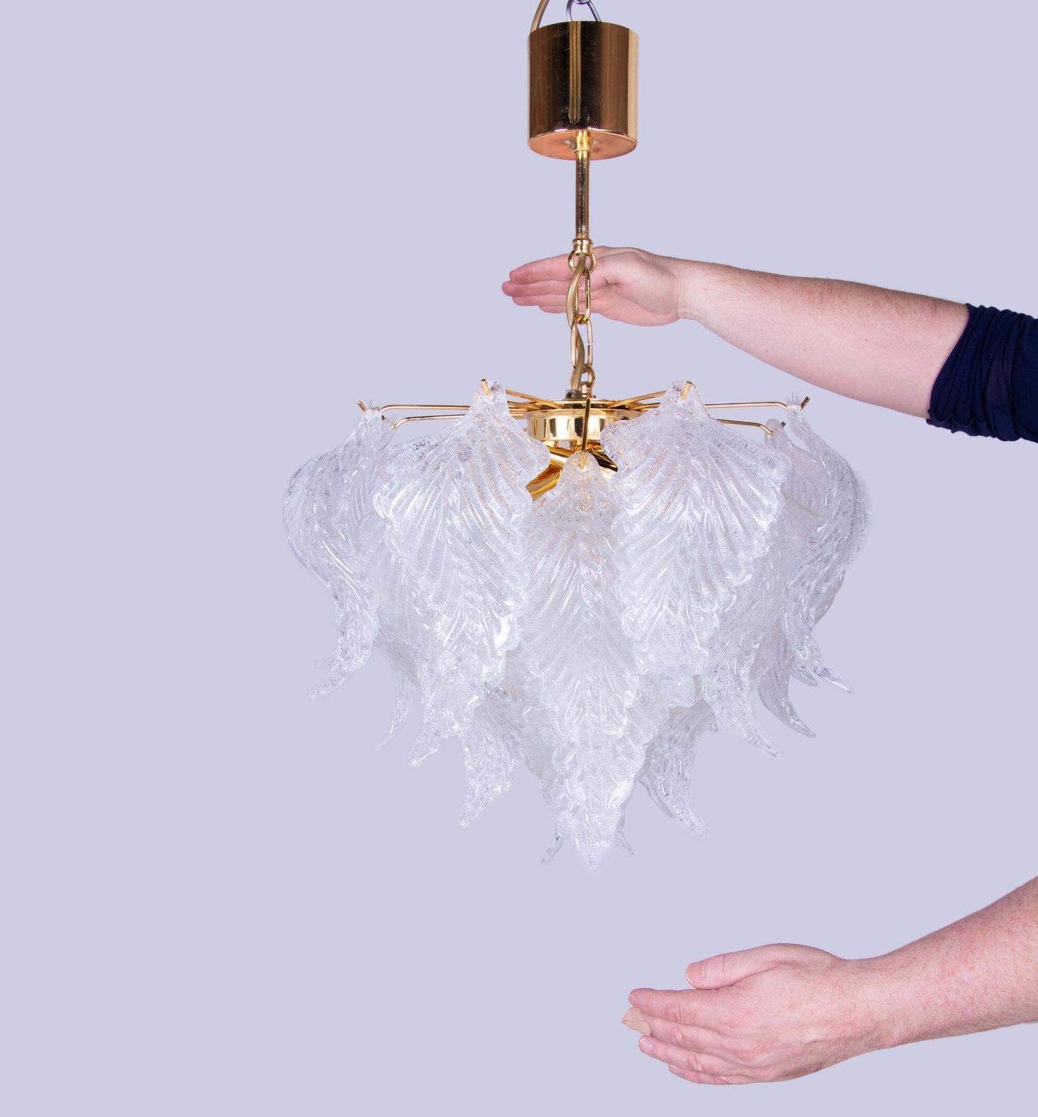 Novaresi Murano Petals Chandelier Glass & Brass, Italy 1970s photo vintage