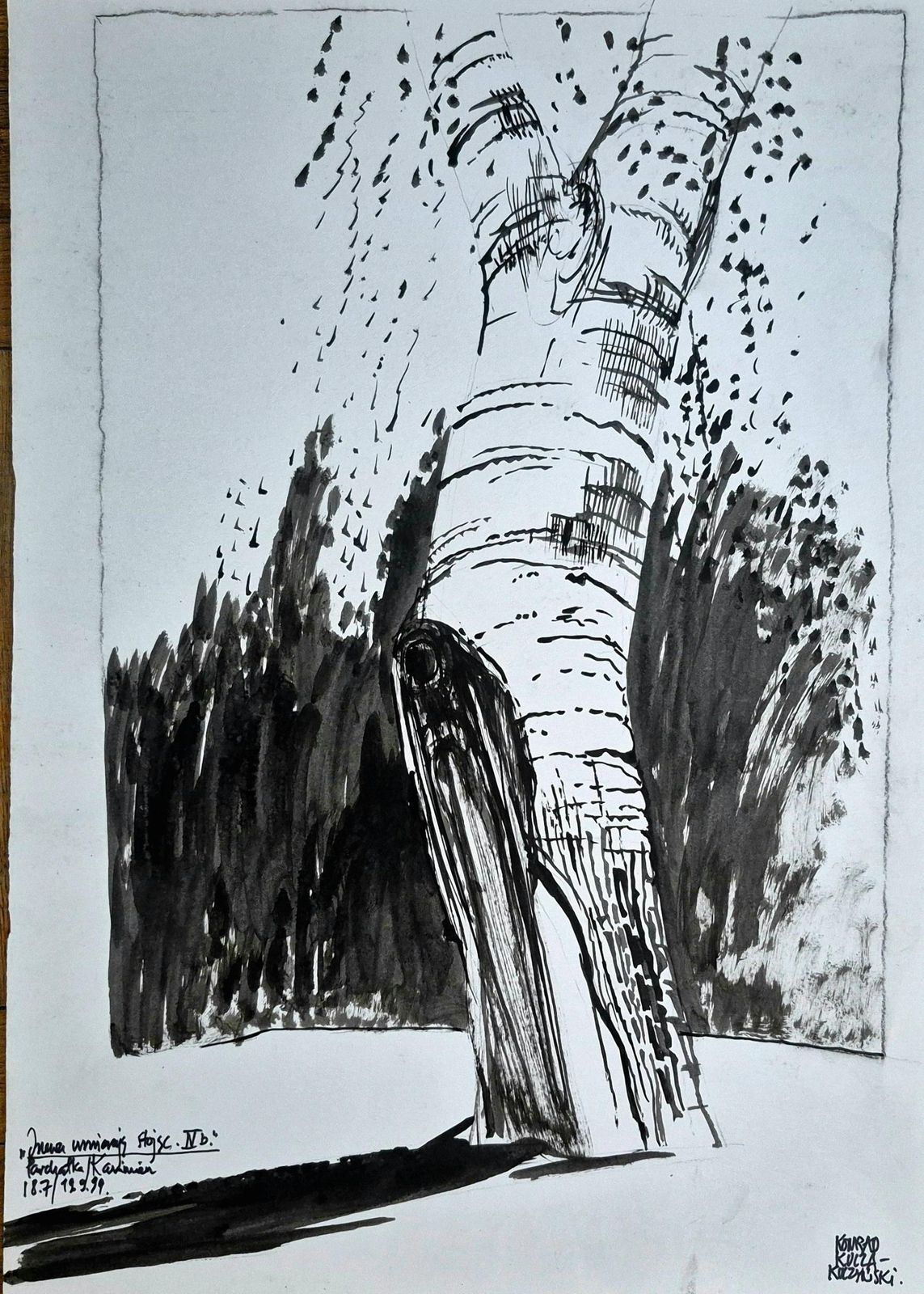 Konrad Kucza Kuczynskitrees  Trees Die Standing, Ink On Paper, Polish Artist, Black And White1999 photo for sale