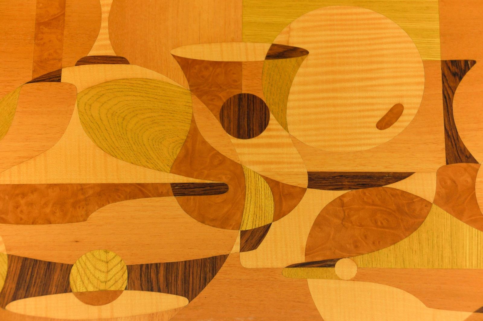 Handmade Wooden Inlays Wall Art By Artist Rene Berg, 1975 Germany photo 1016.0