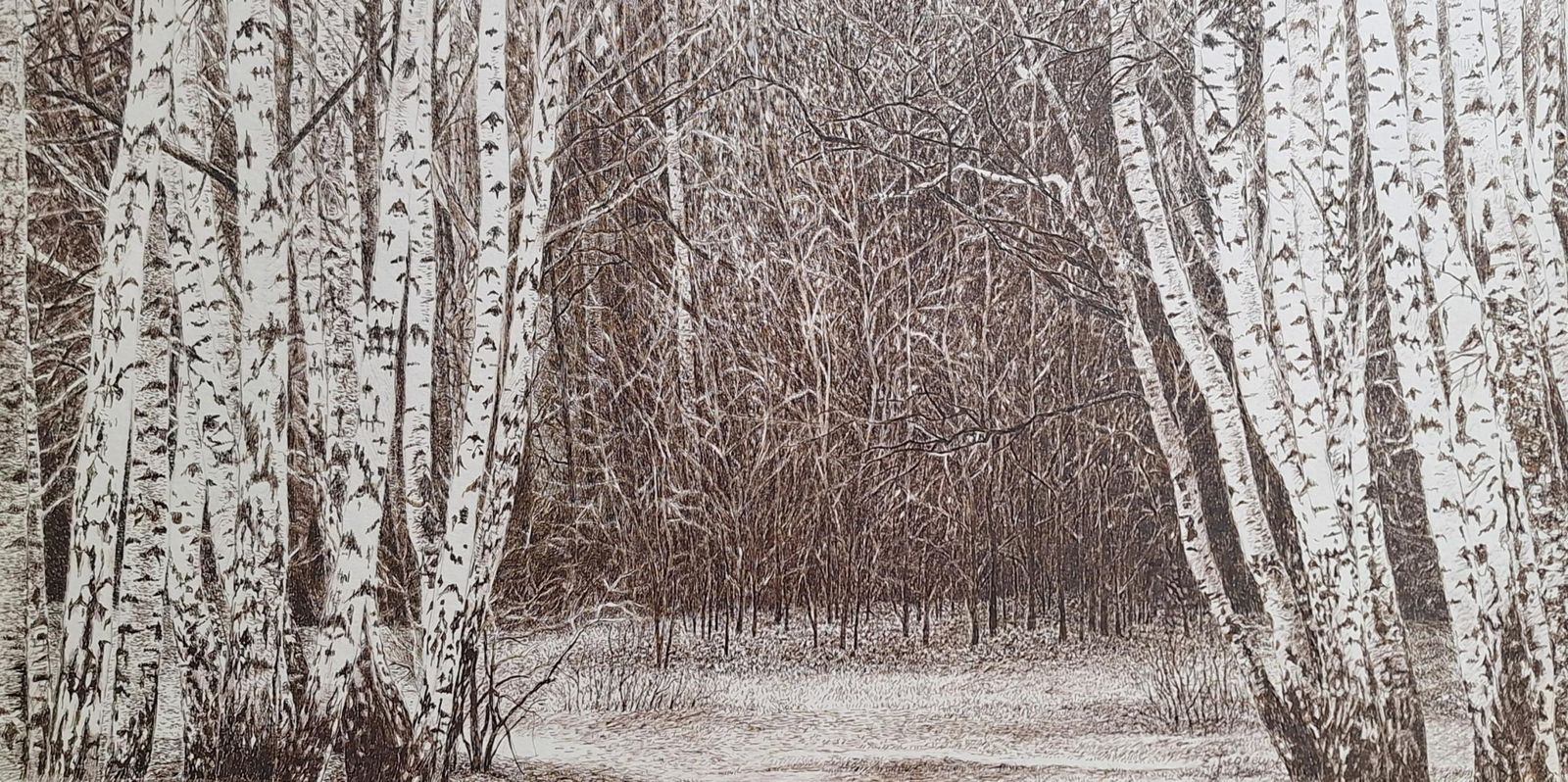 Elżbieta Siegoczyńskakabacki Forest. Figurative Drawing, Landscape, Realistic, Polish Artist2025