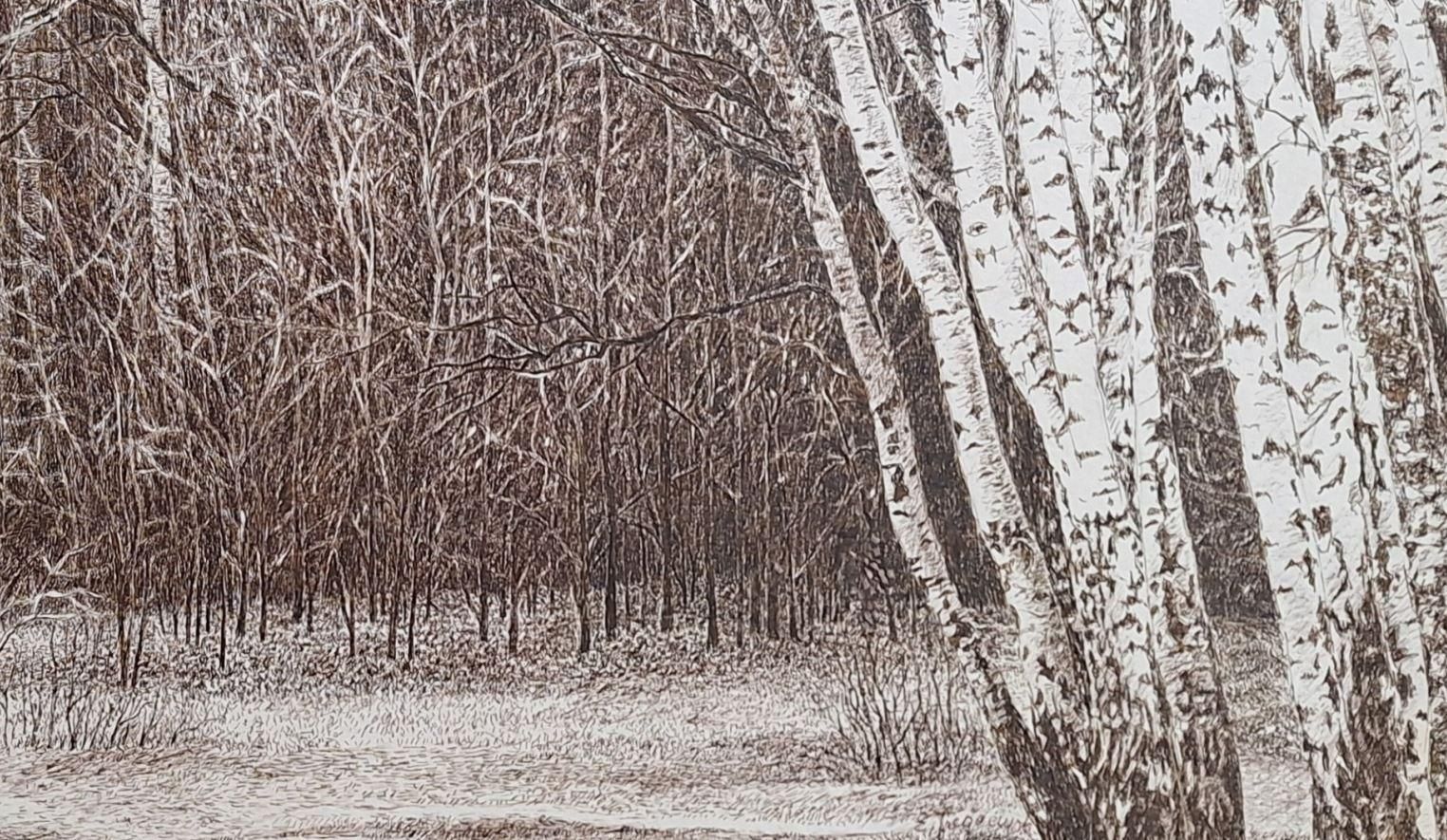 Elżbieta Siegoczyńskakabacki Forest. Figurative Drawing, Landscape, Realistic, Polish Artist2025 photo 1679.0