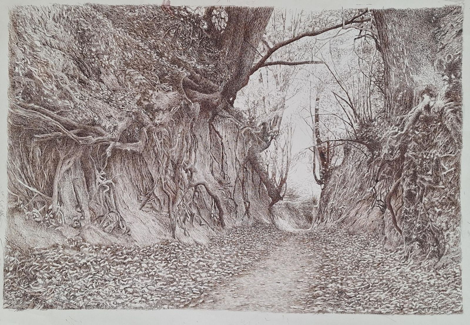 Elżbieta Siegoczyńskawąwóz Korzeniowy. Figurative Drawing, Landscape, Realistic, Polish Artist2025