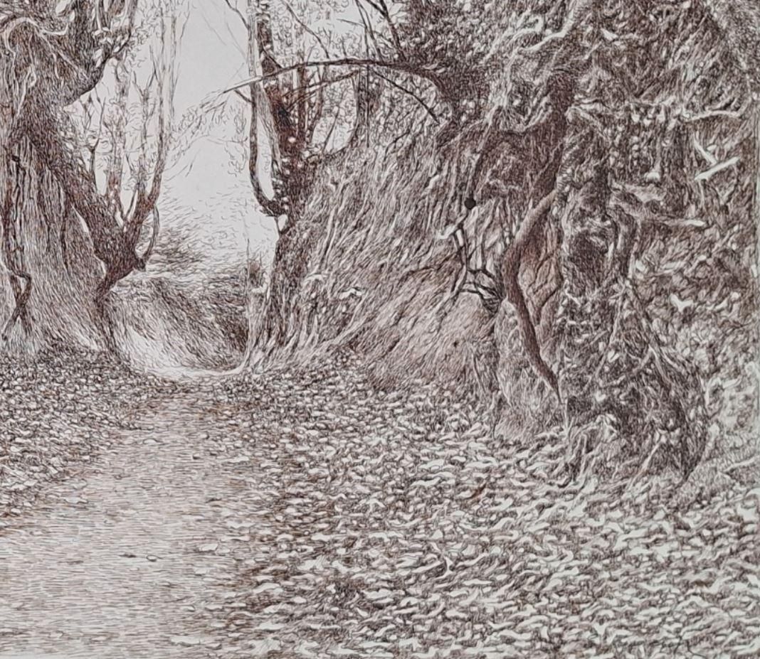 Elżbieta Siegoczyńskawąwóz Korzeniowy. Figurative Drawing, Landscape, Realistic, Polish Artist2025 photo 1679.0