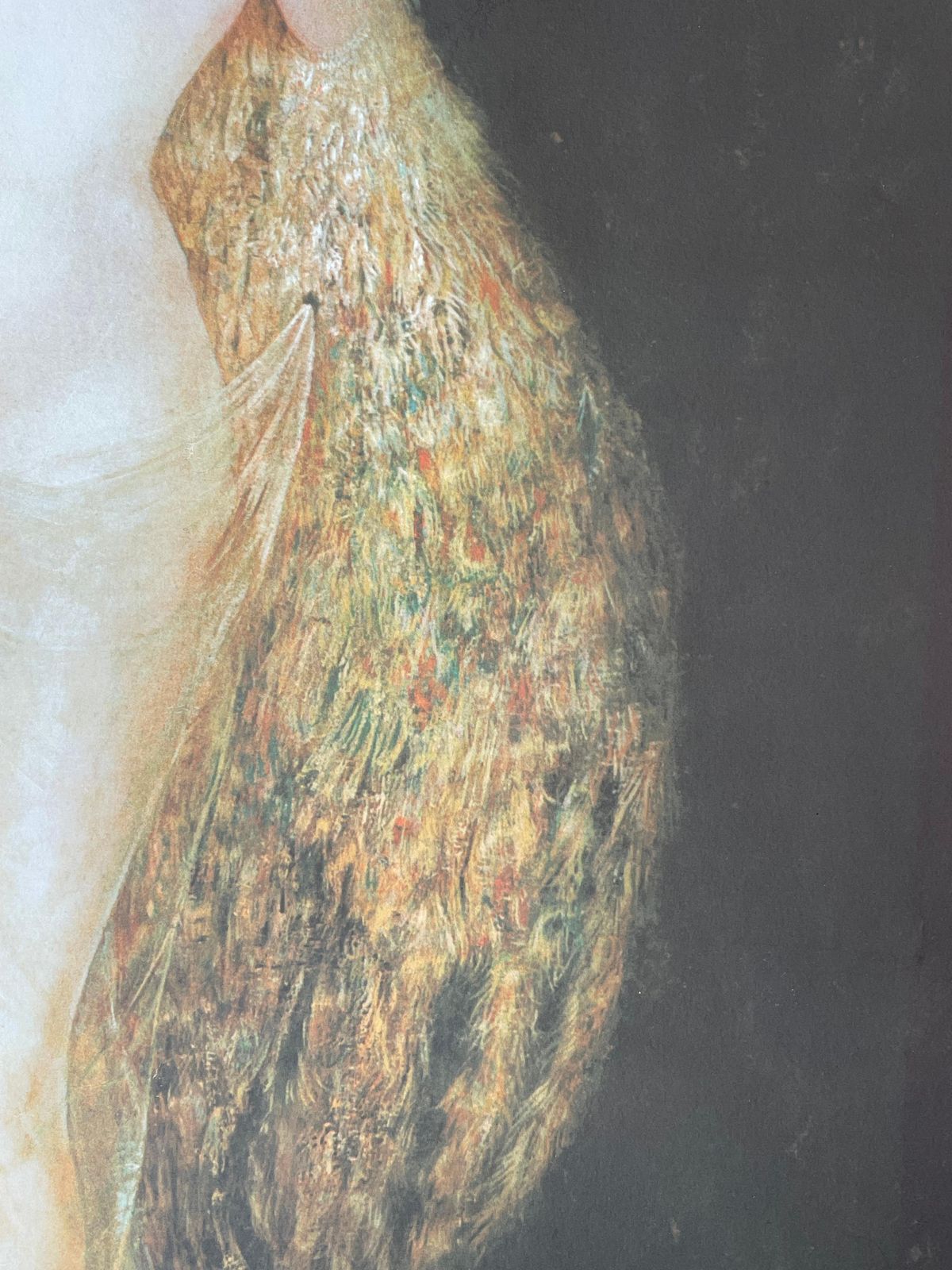 Leonor Finileonor Fini, Woman Dressed With Peacock Feathers, Circa 19701970 photo for sale