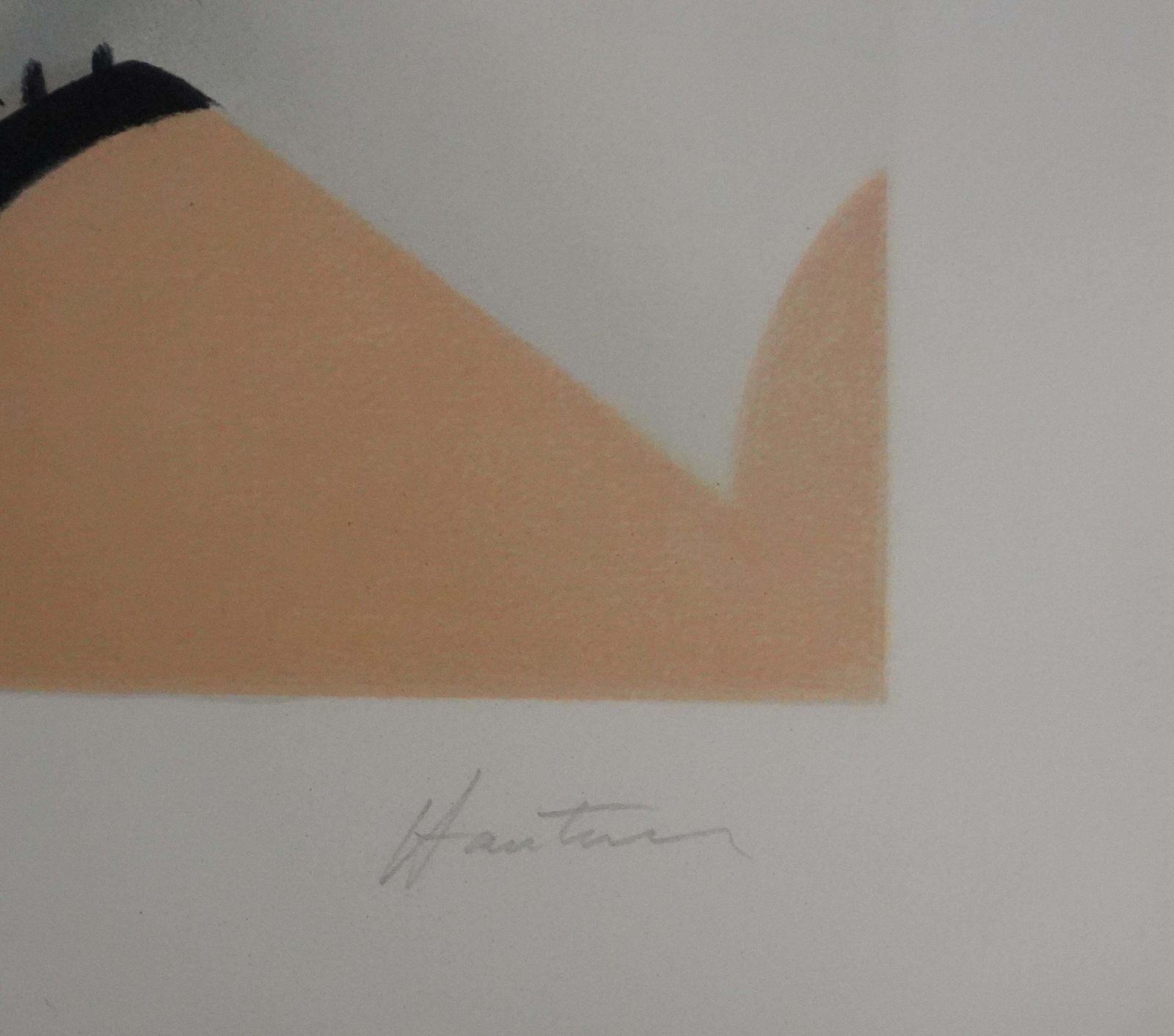 Arnaud D'hauterivesnap Time In A White Dress   Original Handsigned Lithograph photo furniture