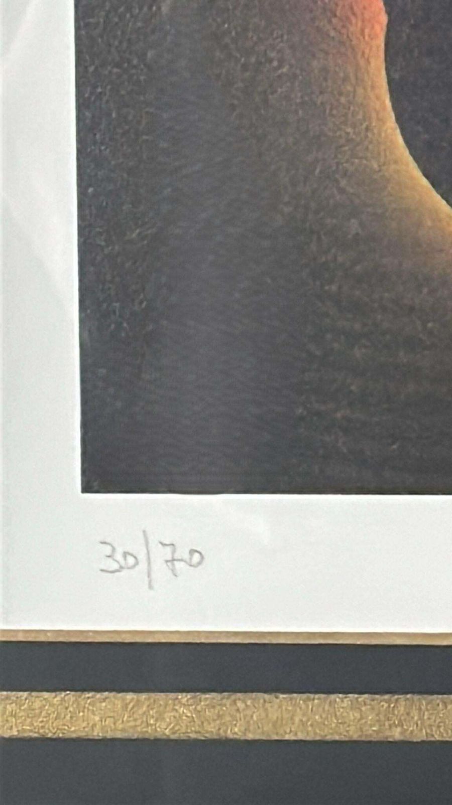 685.0 Marco Lodola Screenprint On Paper (No. 30/70) With Mirrored Frame photo