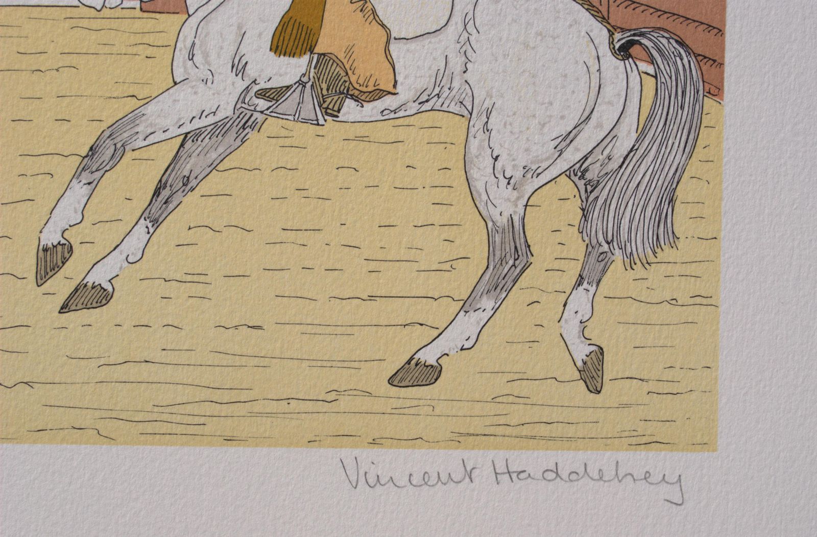 Vincent Haddelseyhorse : Bullfighting In Camargue   Original Lithograph, Handsigned & Ltd /1001974 photo Art