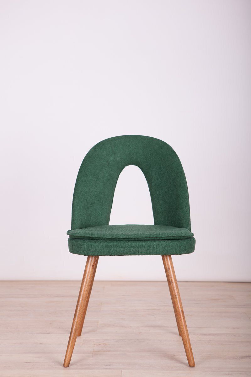 1739.0 Dining Chairs By Antonín šuman For Tatra, 1960s, Set Of 4 photo