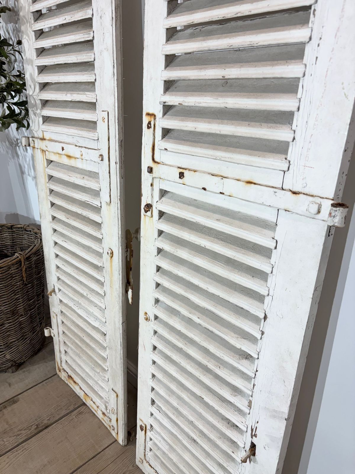 Set Of Two Antique French Original Painted Shutters photo for sale
