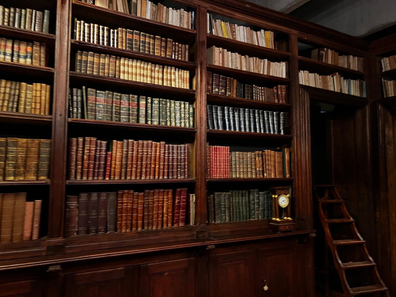 photo for sale Huge Library Complete With Doors And Arranged On Four Sides Made Of Poplar, Italy