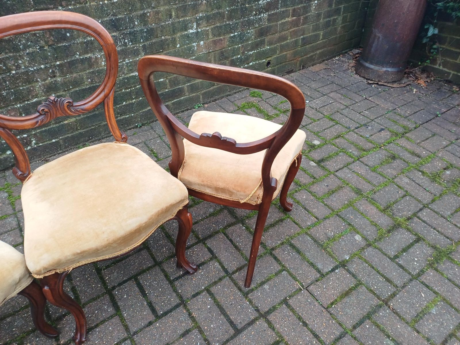Set Of Four Antique Victorian Mahogany Balloon Back Dining Chairs High Quality Frames Vintage Original Velvet Upholstery photo 575.0