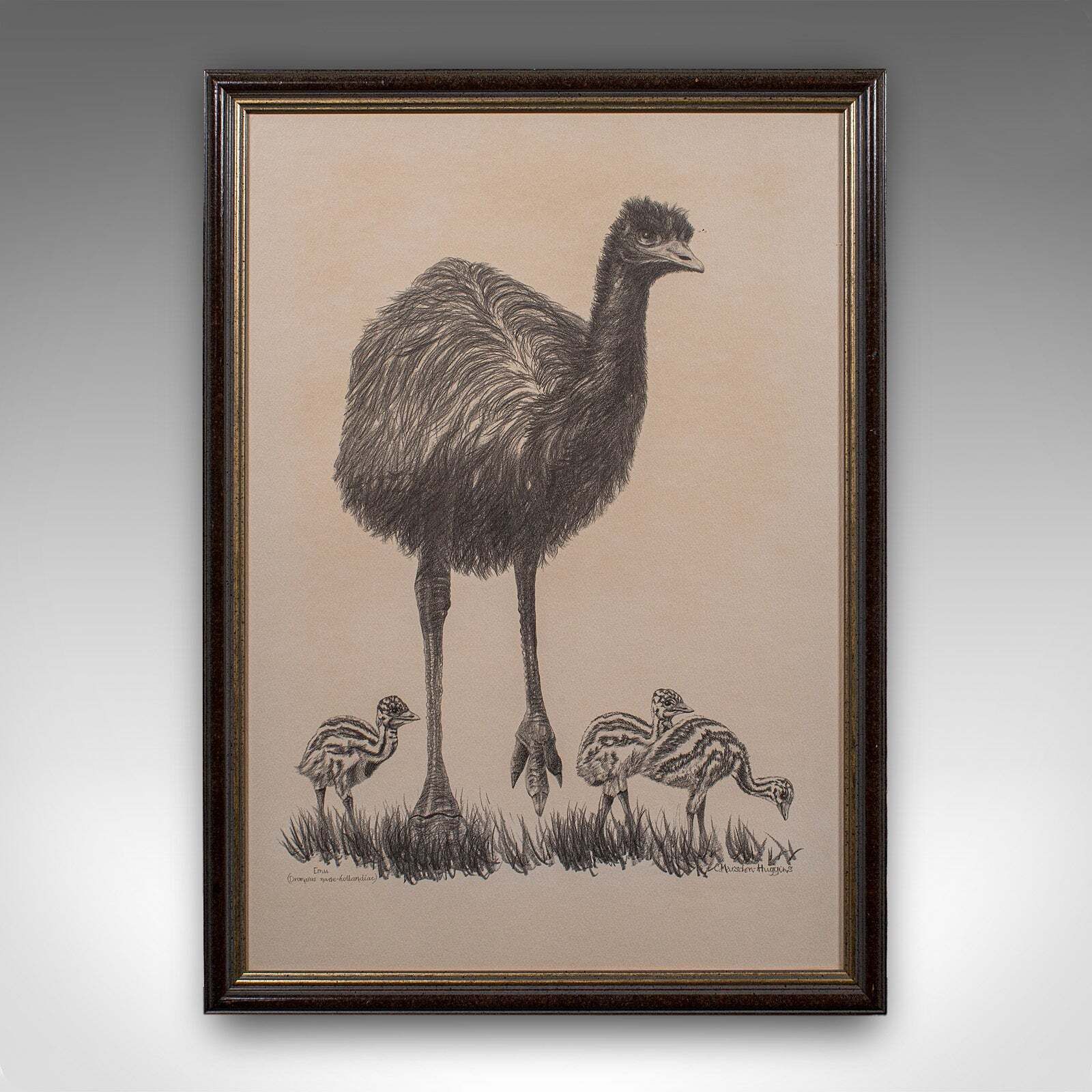 Vintage Wildlife Picture Trio, Australian Interest, Framed Prints, Animal Art photo for sale