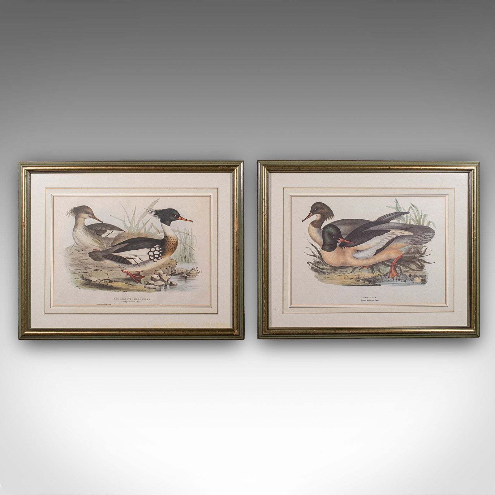 Pair Of Antique Duck Pictures, Framed Wildlife Art Prints, Lithograph, Victorian photo furniture