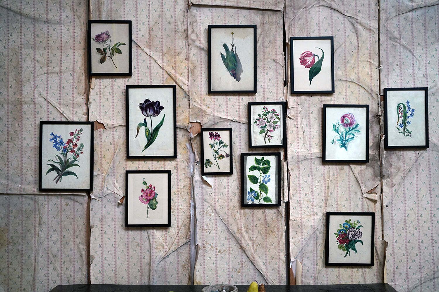 A Group Of Twelve Framed Late 19thc Botanical Watercolours C.1900 photo furniture