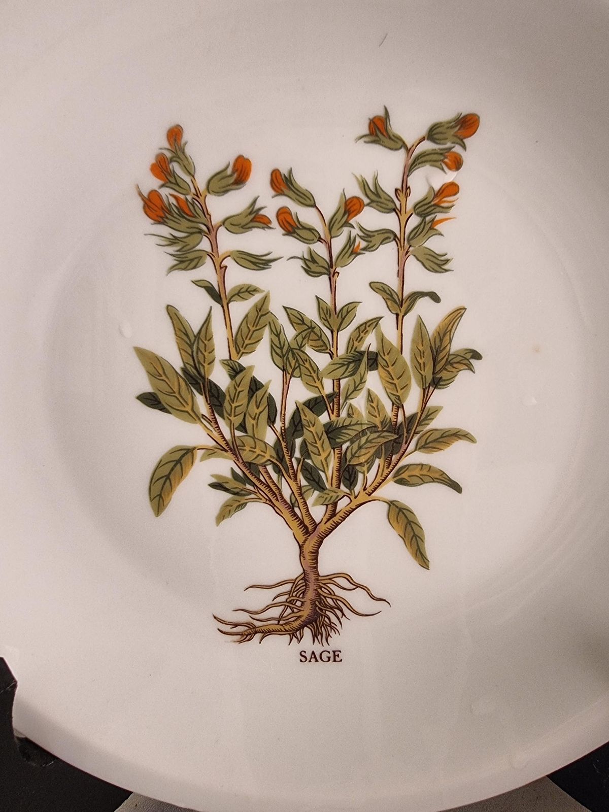 Vintage French Herb Side Plates   Set Of Six Porcelain Plates photo 98.96