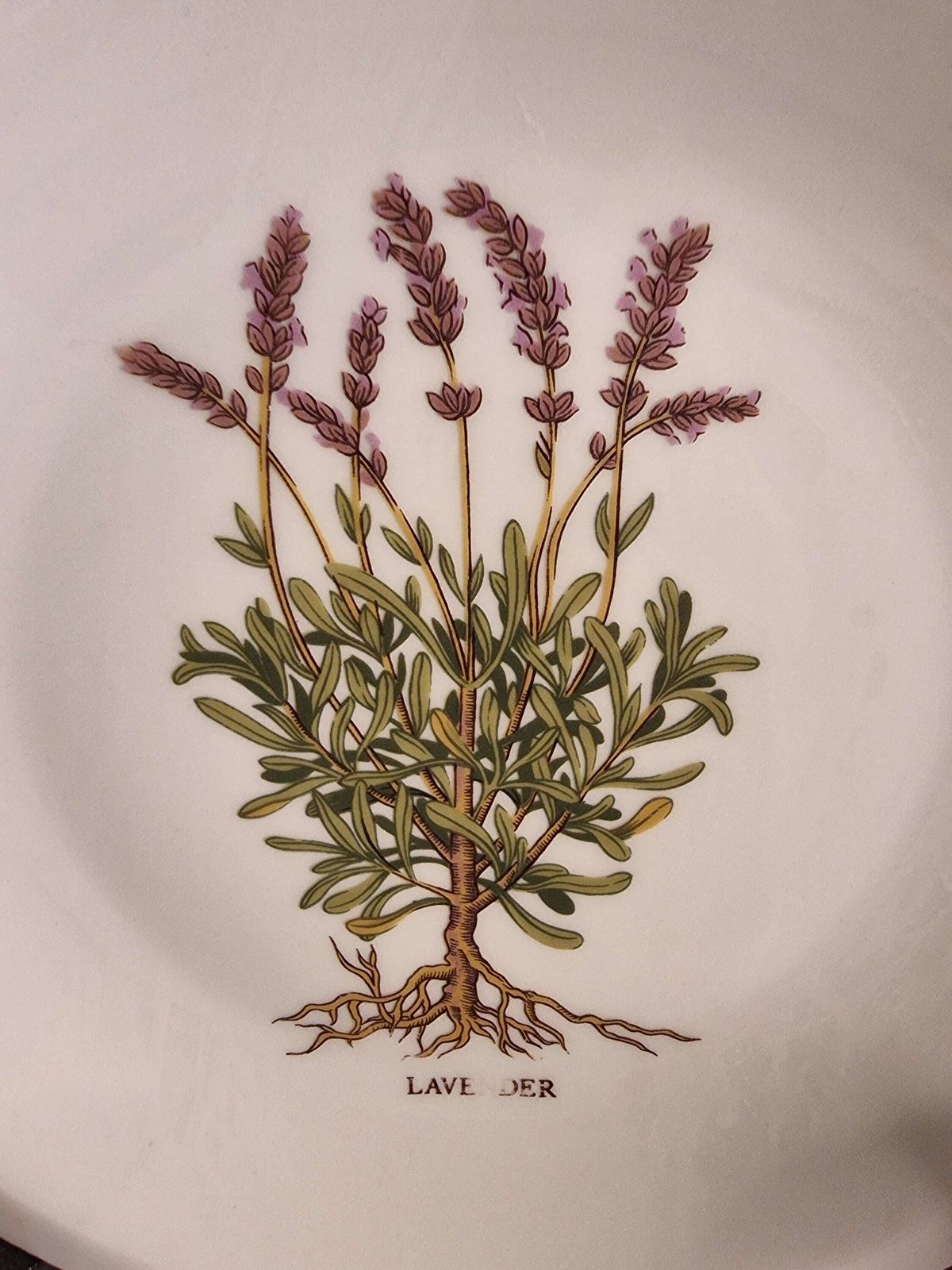 Vintage French Herb Side Plates   Set Of Six Porcelain Plates photo vinterior