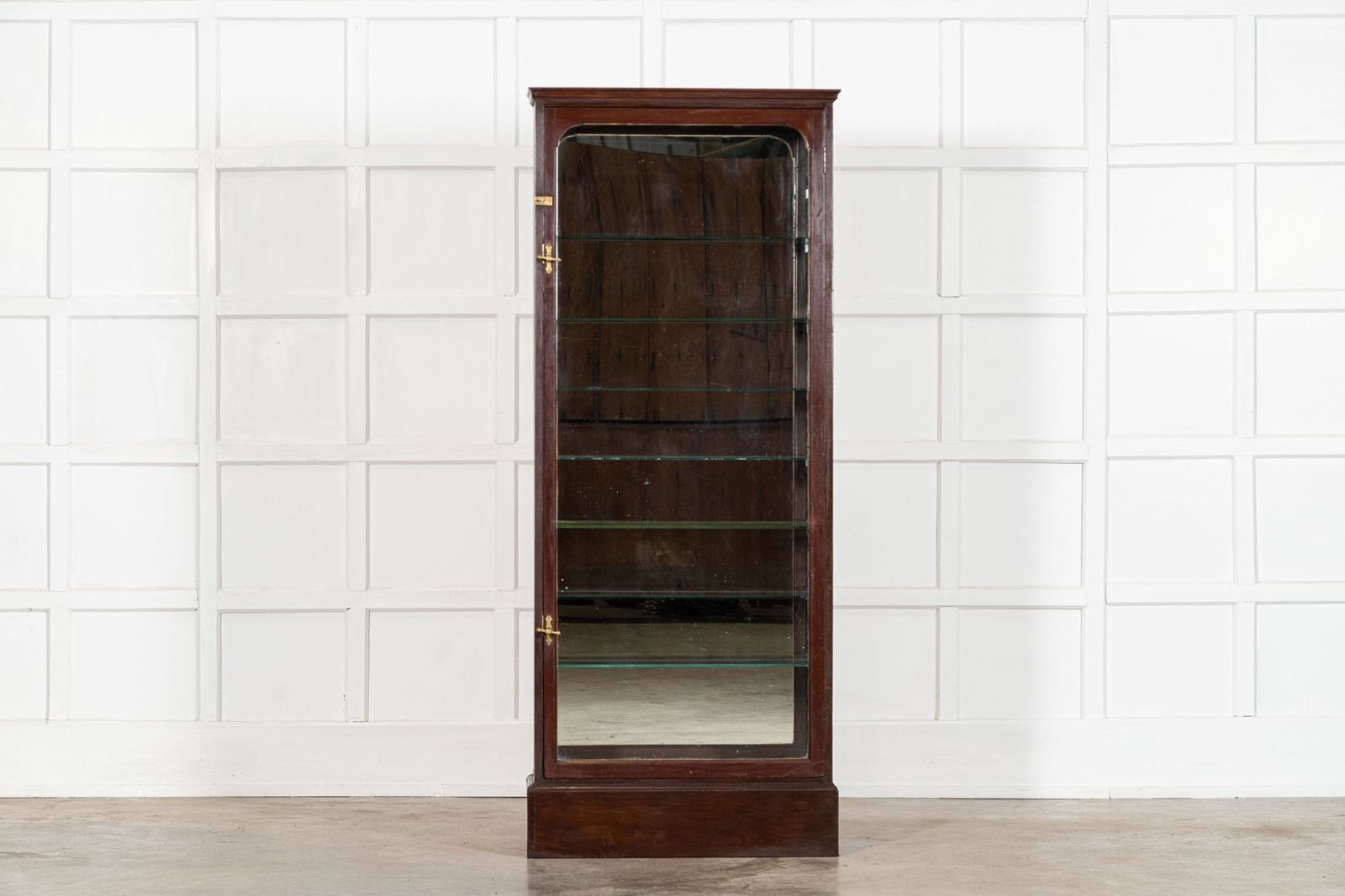 English 19thc Mahogany Glazed Chemist Cabinet