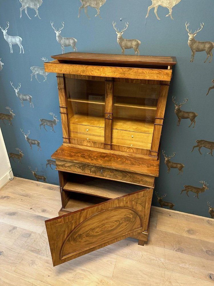 photo furniture Vintage Cabinet In Mahogany, 1800s