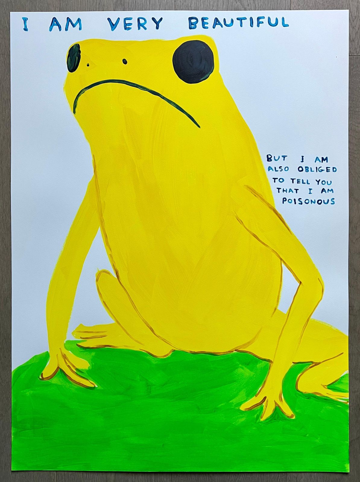 David Shrigley I Am Very Beautiful, But I Am Also Obliged To Tell You I Am Poisonous 2025 photo furniture