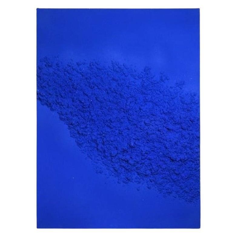 Monochrome Painting, Klein Blue, Contemporary Work, Xxist Century.