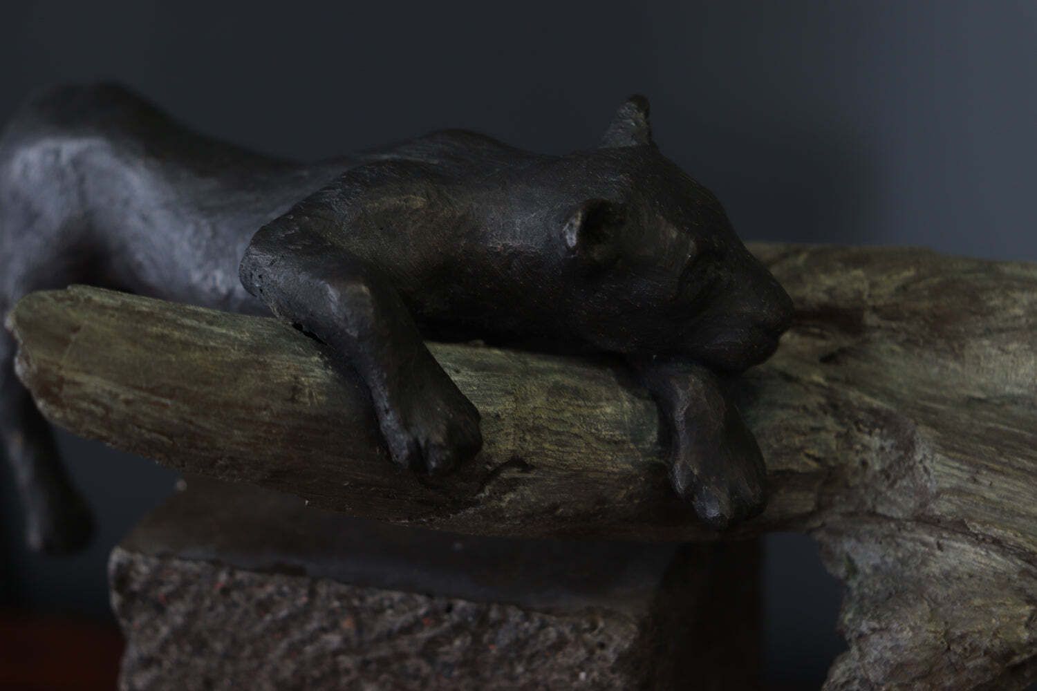 photo vintage Bronze Sculpture Of A Resting Lioness On Cold Painted Log