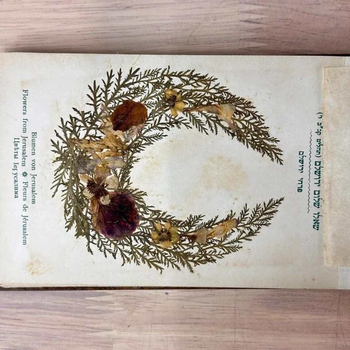 Antique Olive Wood Holy Land Flower Book C1910 Jerusalem Herbarium Views Judaica photo for sale