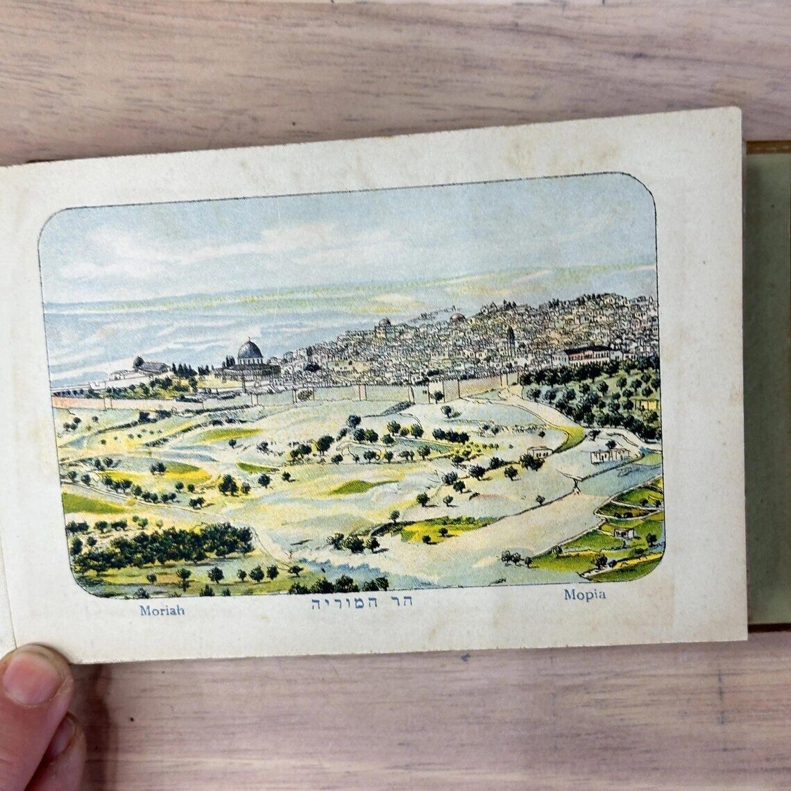 Antique Olive Wood Holy Land Flower Book C1910 Jerusalem Herbarium Views Judaica photo buy