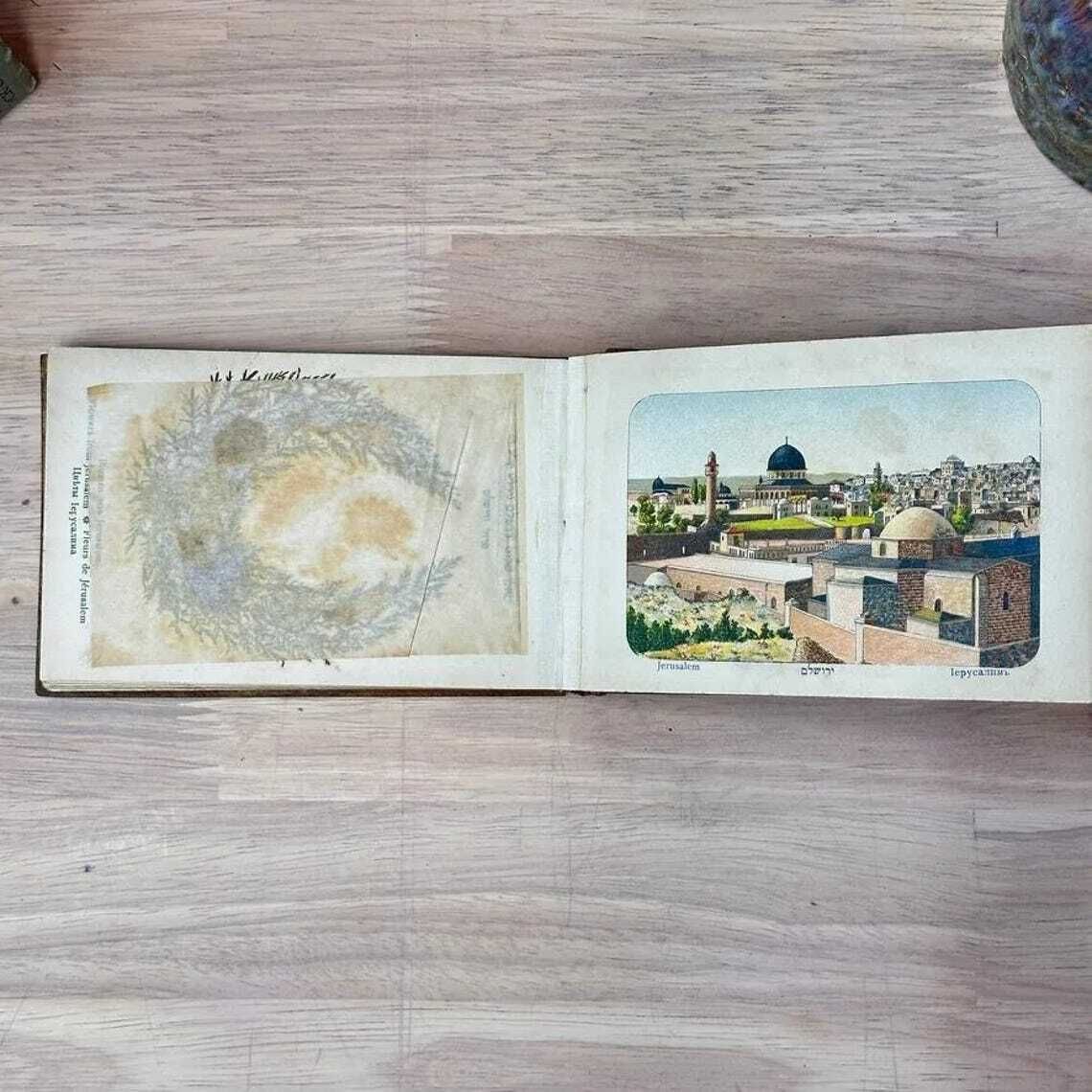 photo for sale Antique Olive Wood Holy Land Flower Book C1910 Jerusalem Herbarium Views Judaica