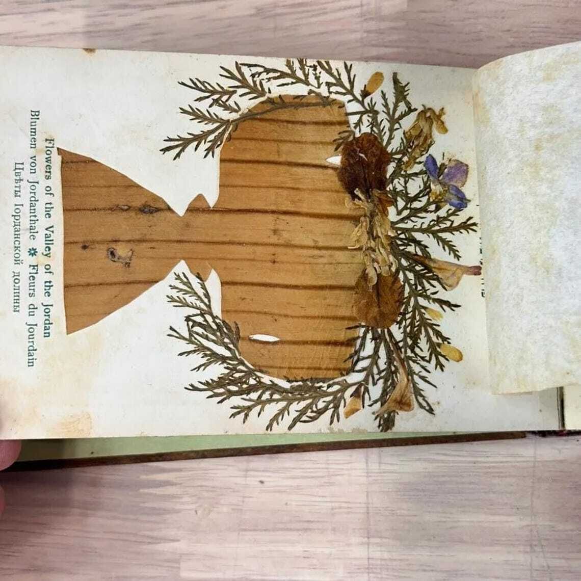 Home Decor Antique Olive Wood Holy Land Flower Book C1910 Jerusalem Herbarium Views Judaica photo