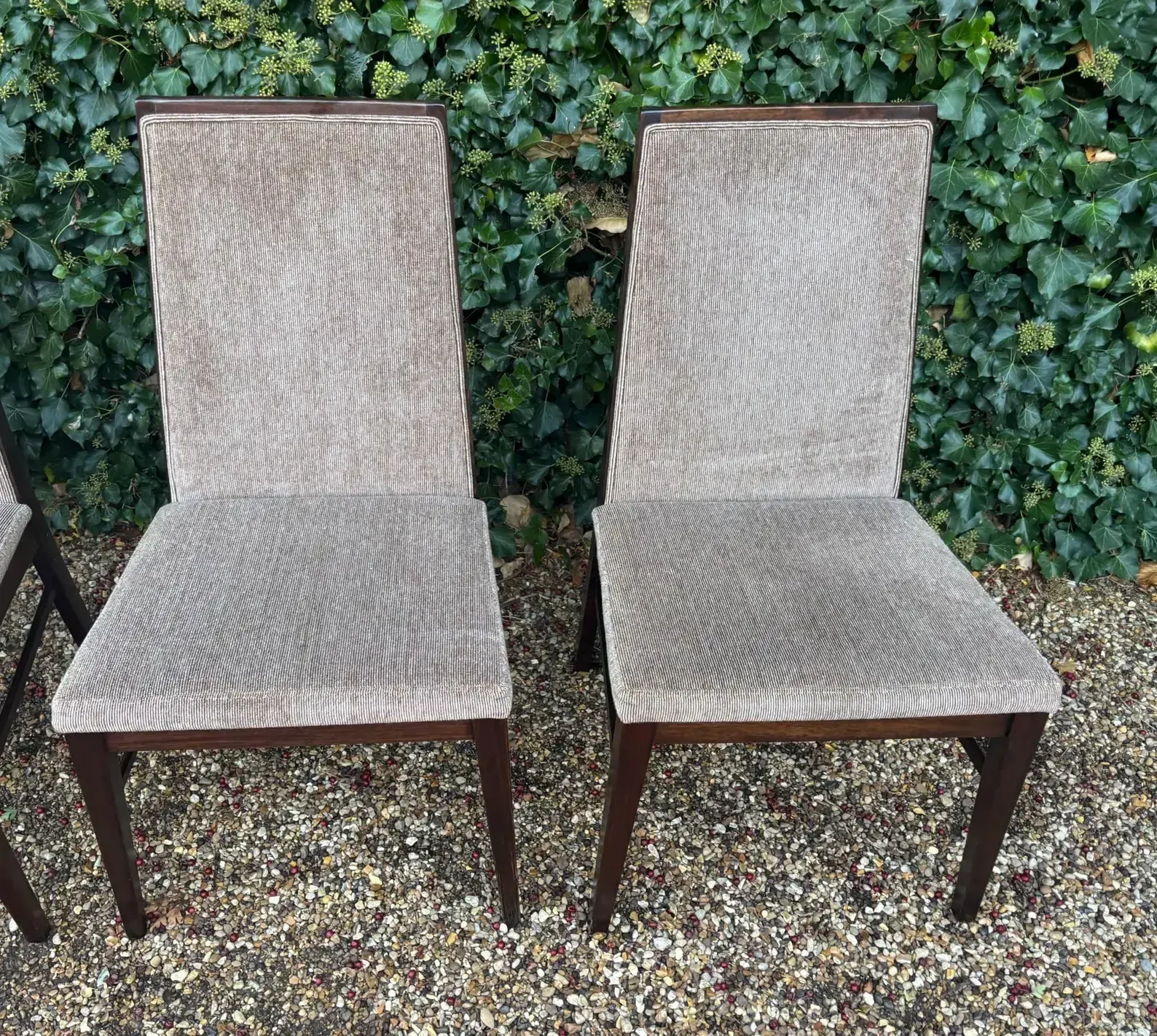 Mid Century Danish Rosewood Dining Chairs By Dyrlund photo buy