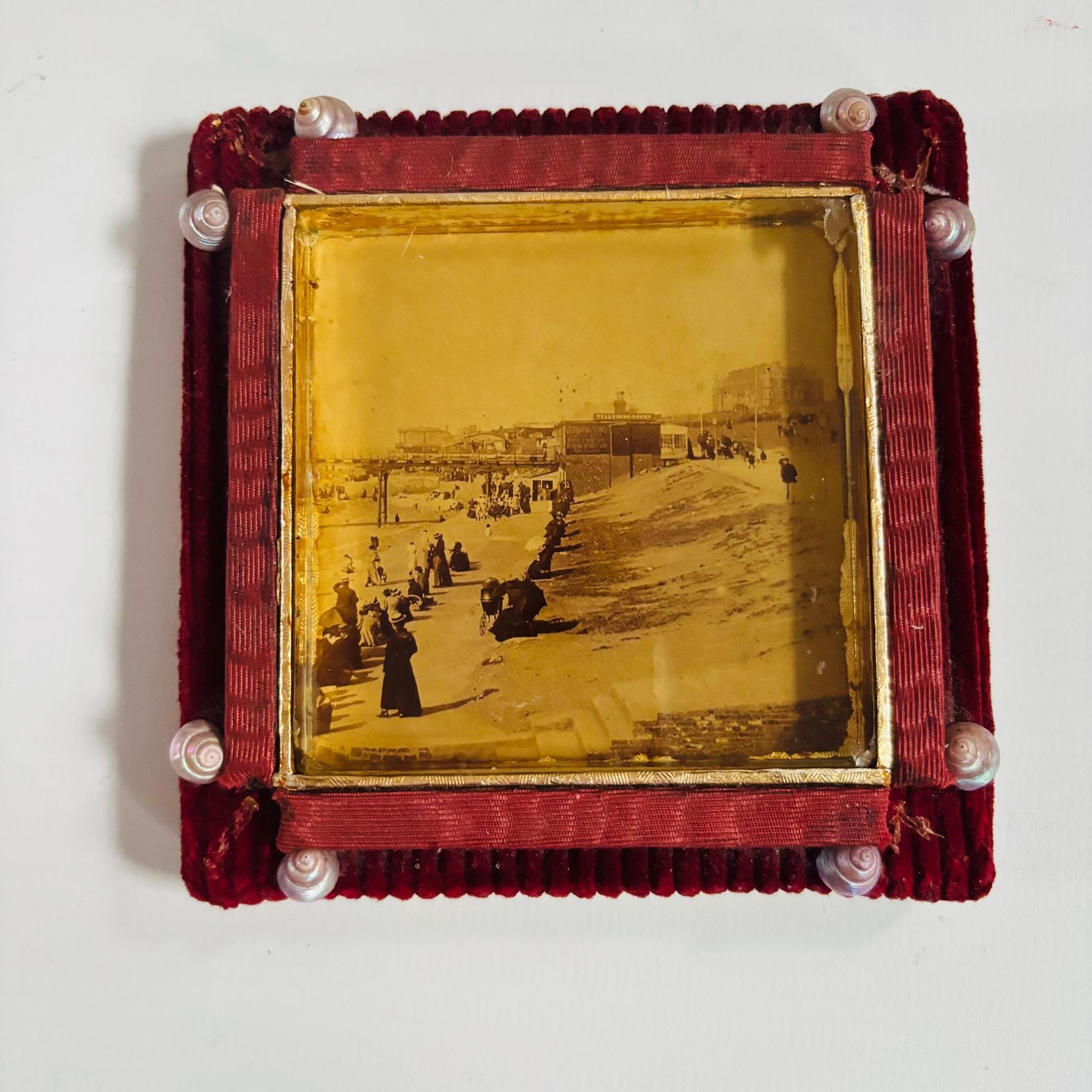 Antique Victorian Seaside Photo: Gold Gilt Frame, Velvet & Seashells photo buy
