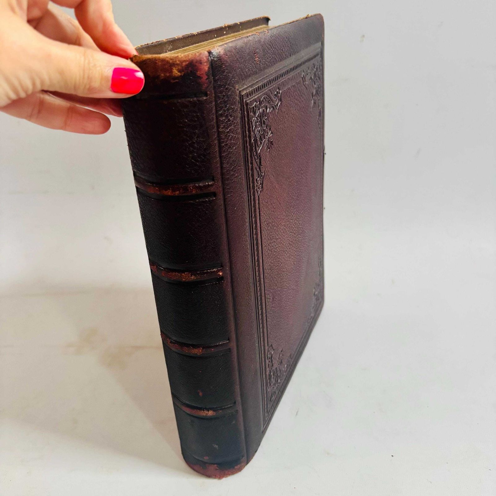 Antique Leather Album | Medieval Illuminated Manuscript Art, British Museum photo 295.0
