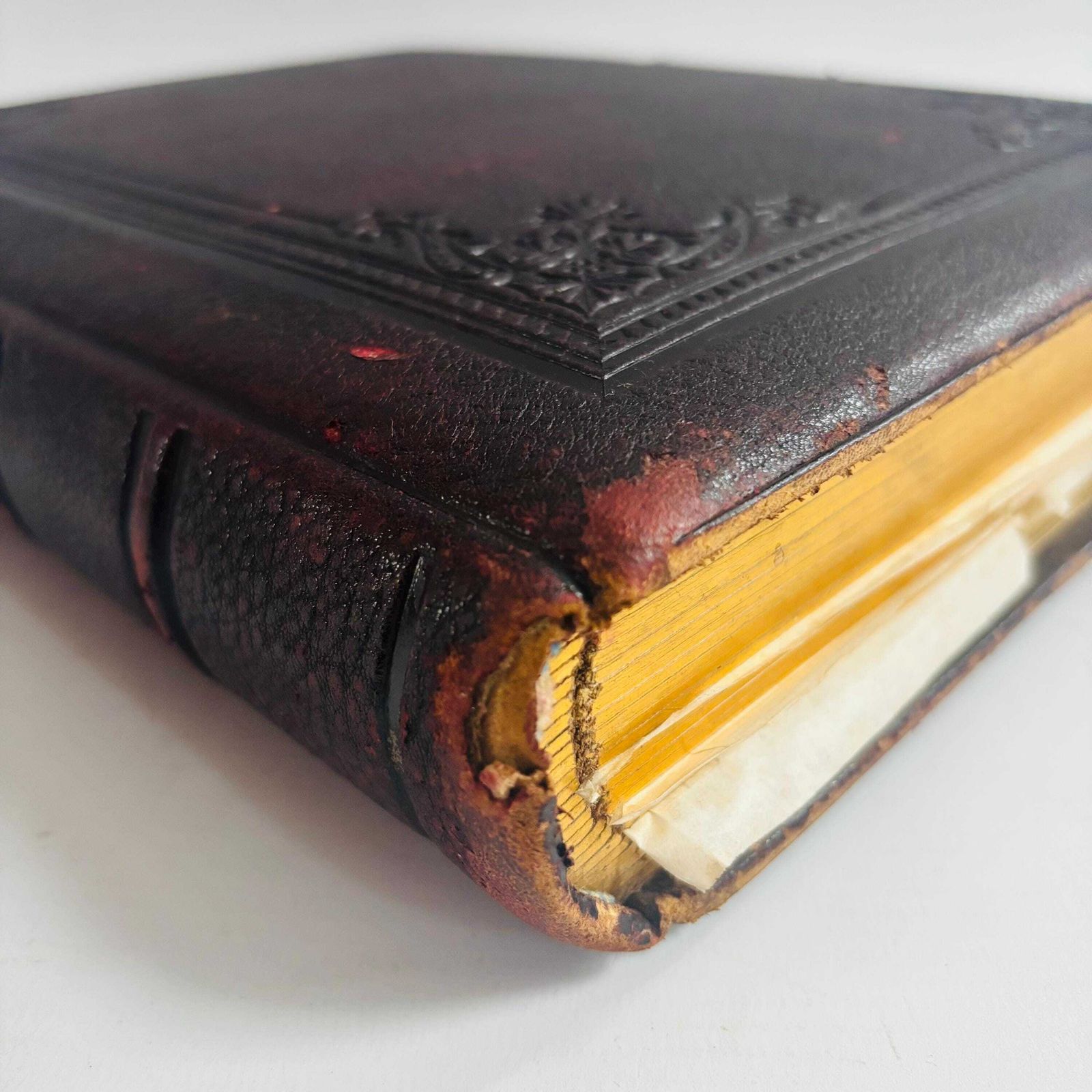 295.0 Antique Leather Album | Medieval Illuminated Manuscript Art, British Museum photo
