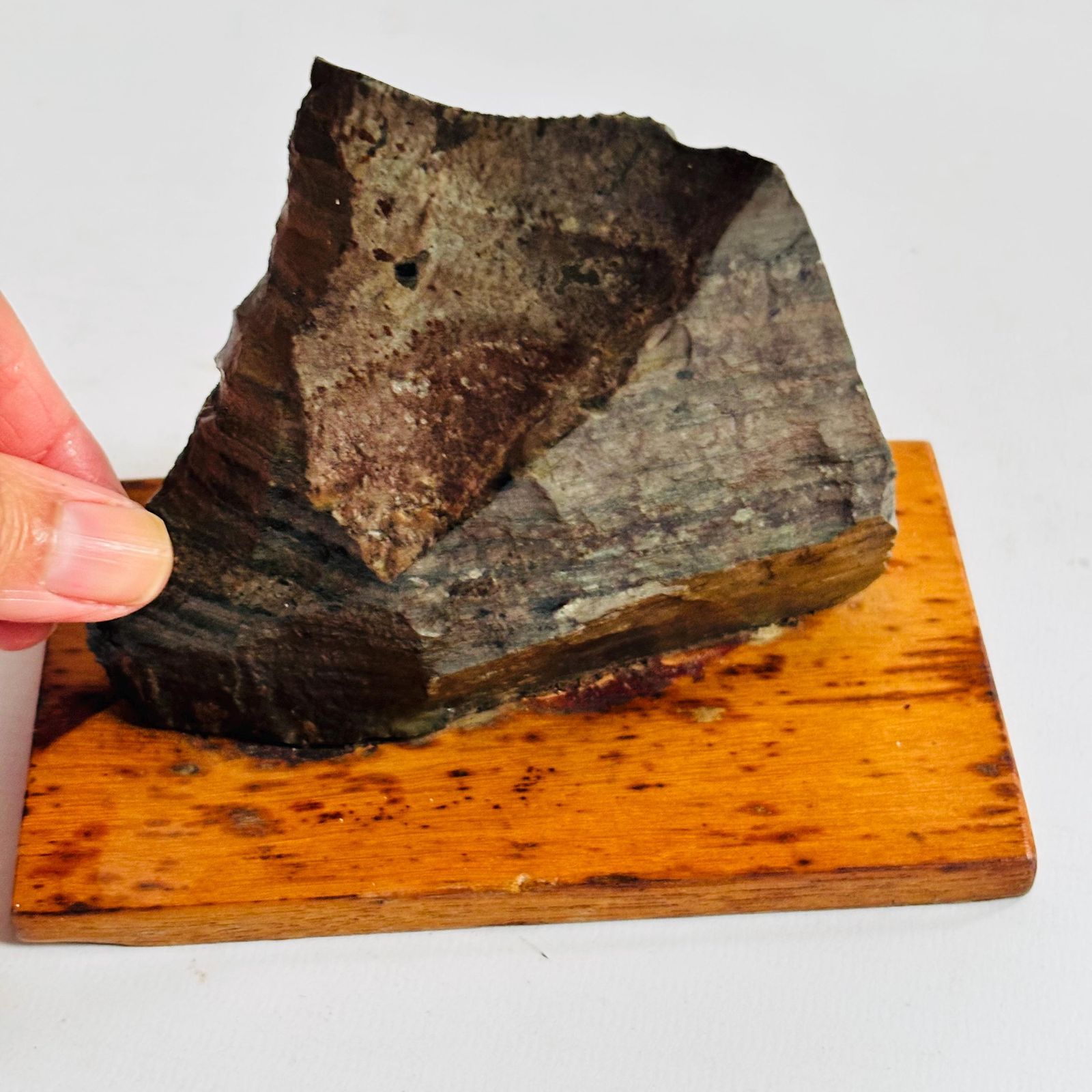 Antique Pre Cambrian Volcanic Rock Specimen: Charnian Group On Wooden Base C1950s photo 89.0