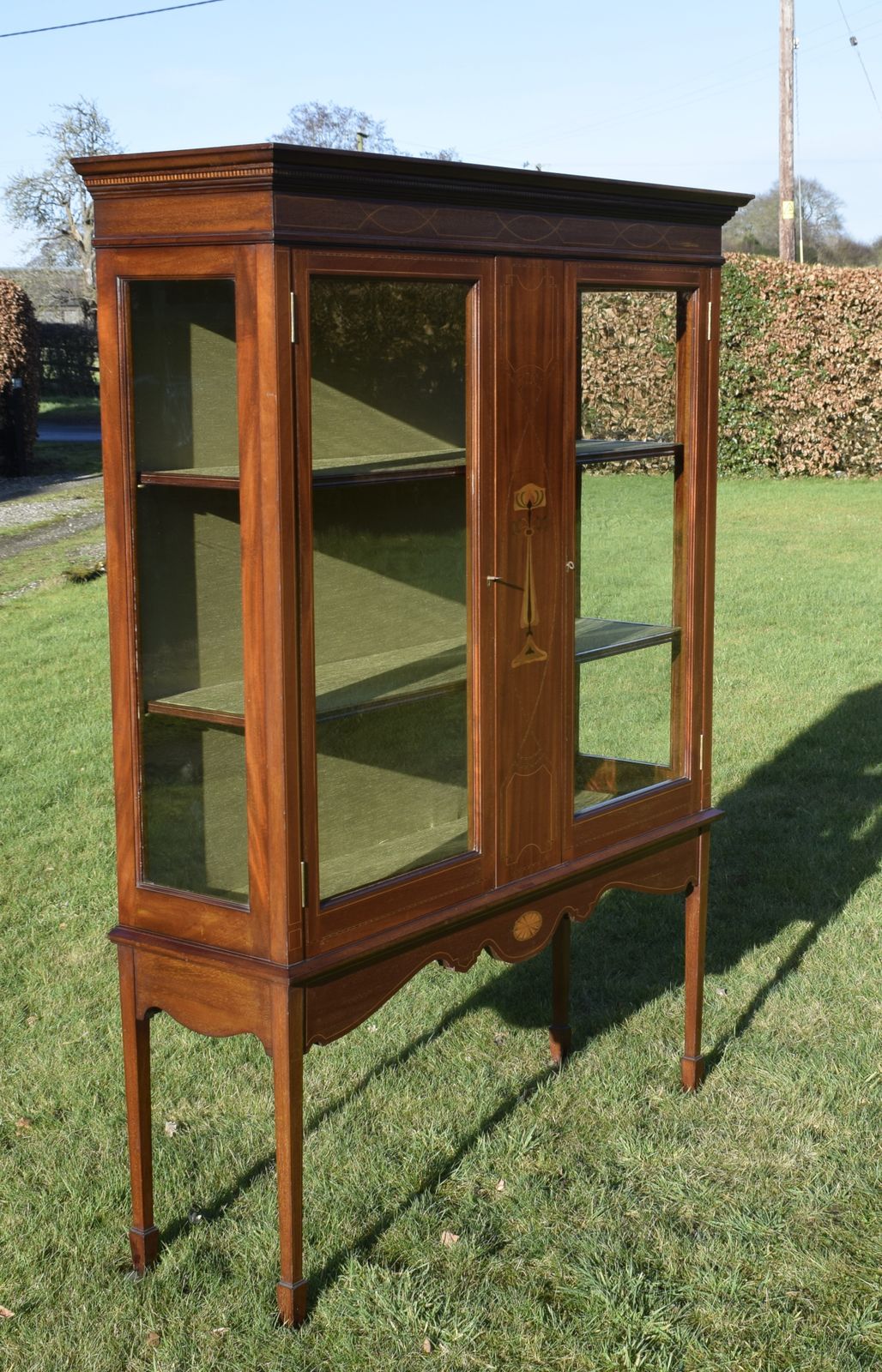 995.0 Early 20th Century Art Nouveau Display Cabinet photo