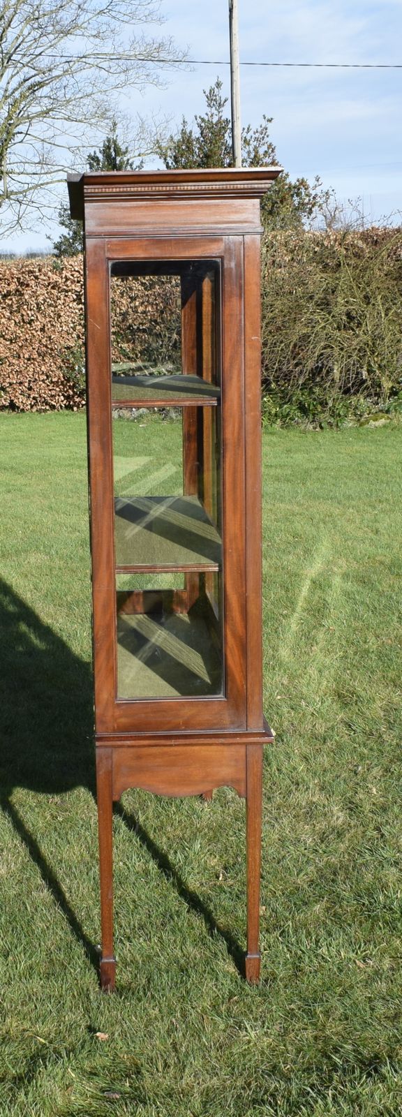 photo vinterior Early 20th Century Art Nouveau Display Cabinet