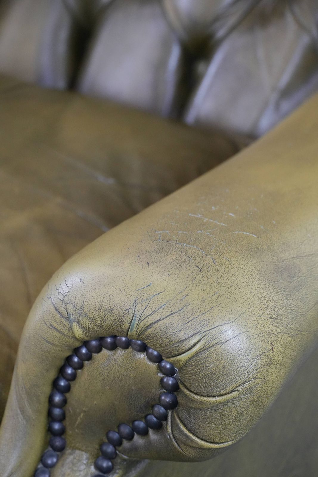 photo vinterior Moss Green Cowhide Chesterfield Wingback Armchair In English Style Finished With Decorative Nails