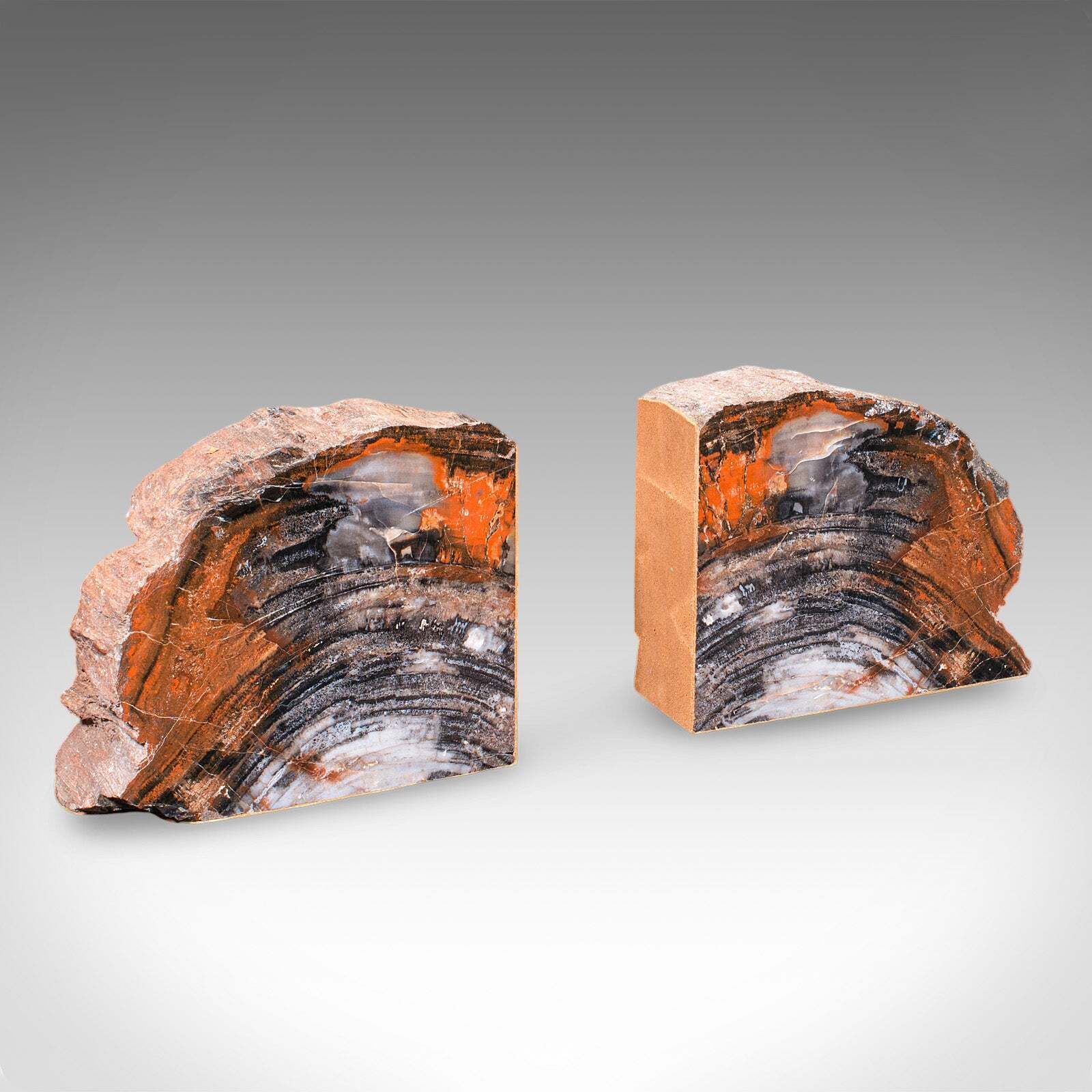 Pair Of Prehistoric Large Volume Bookends, Petrified Wood, Book Rest, Geological photo for sale