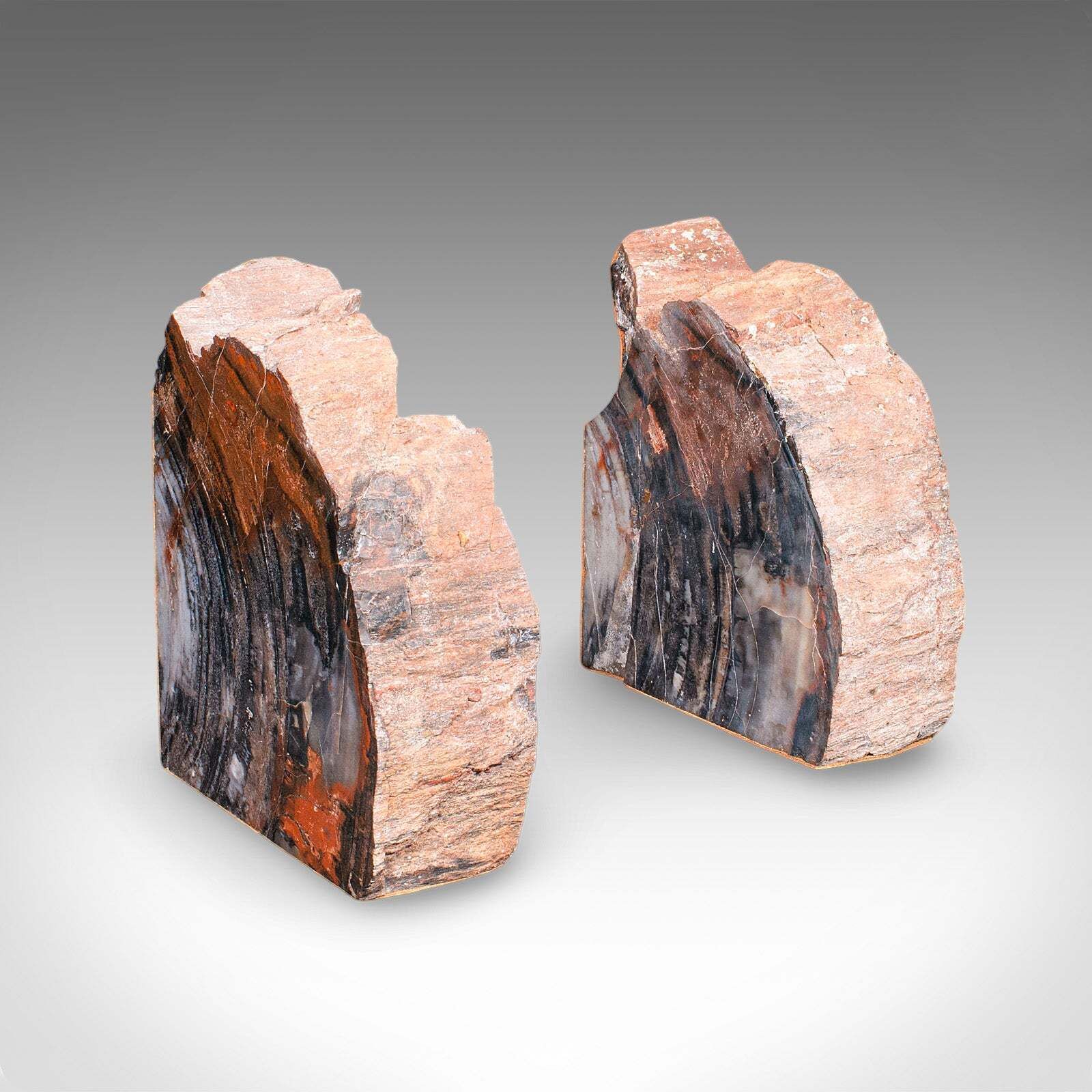 Pair Of Prehistoric Large Volume Bookends, Petrified Wood, Book Rest, Geological photo Home Decor