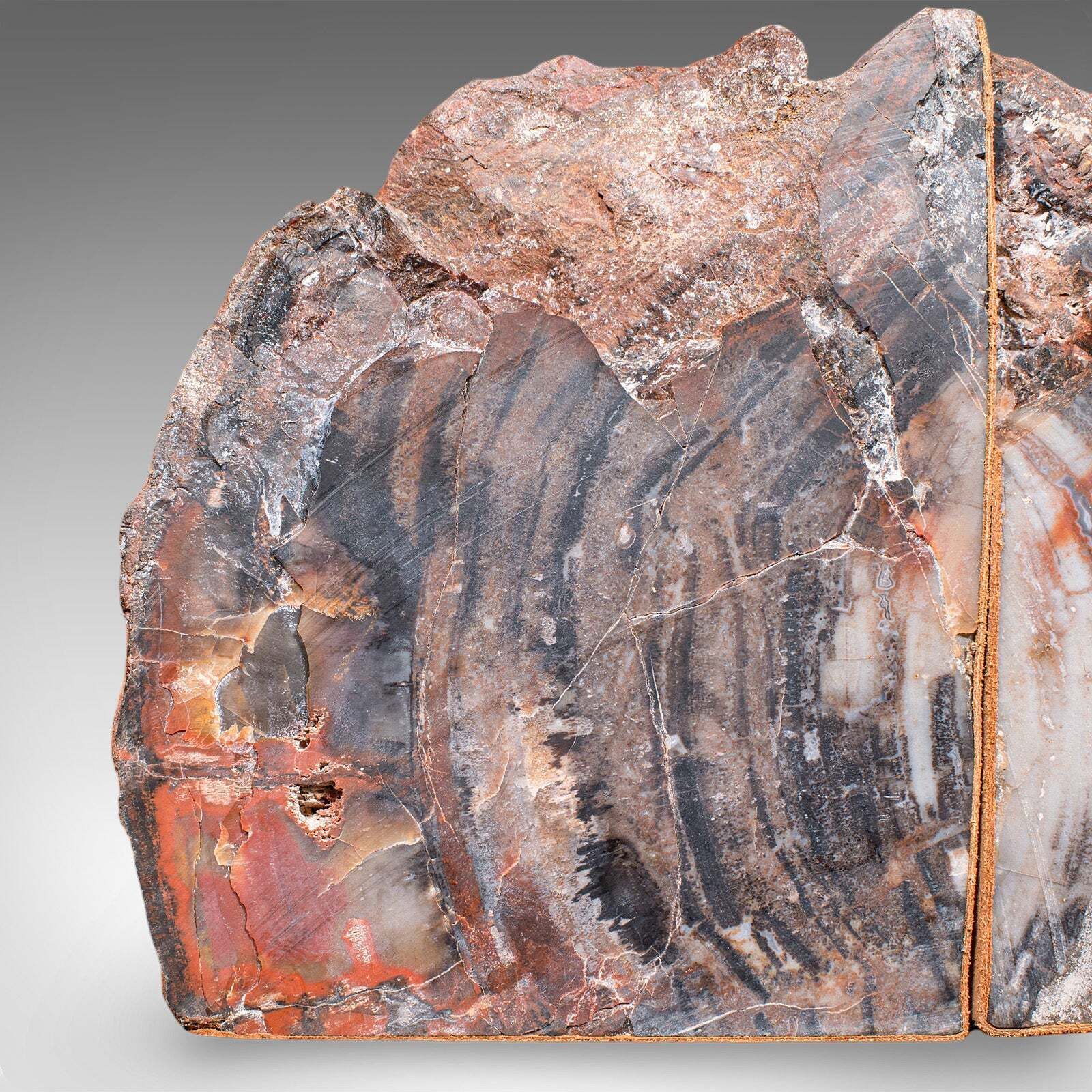 Home Decor Pair Of Prehistoric Large Volume Bookends, Petrified Wood, Book Rest, Geological photo
