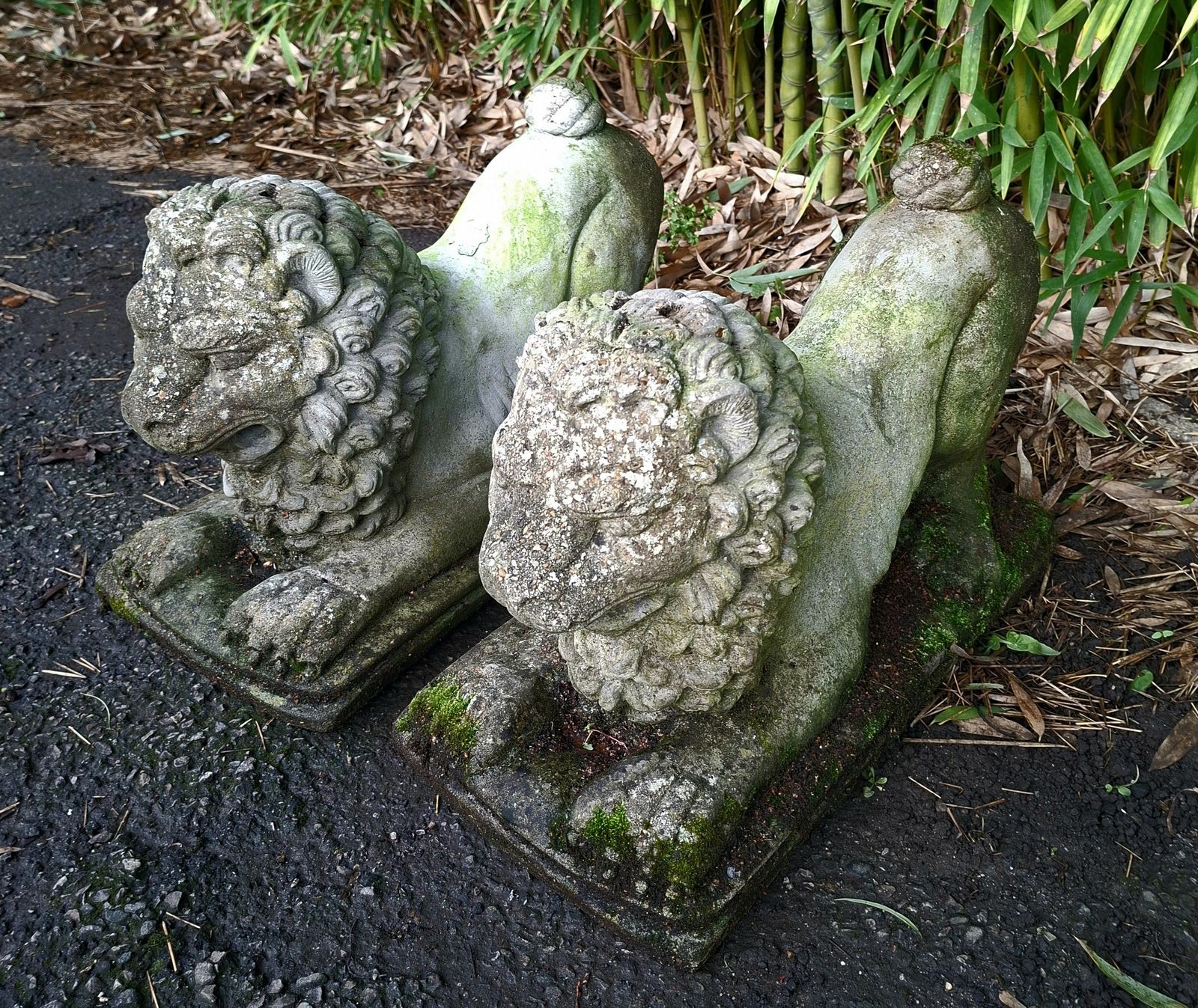 Pair Of Antique Stone Recumbent Guardian Lions photo Garden Decor