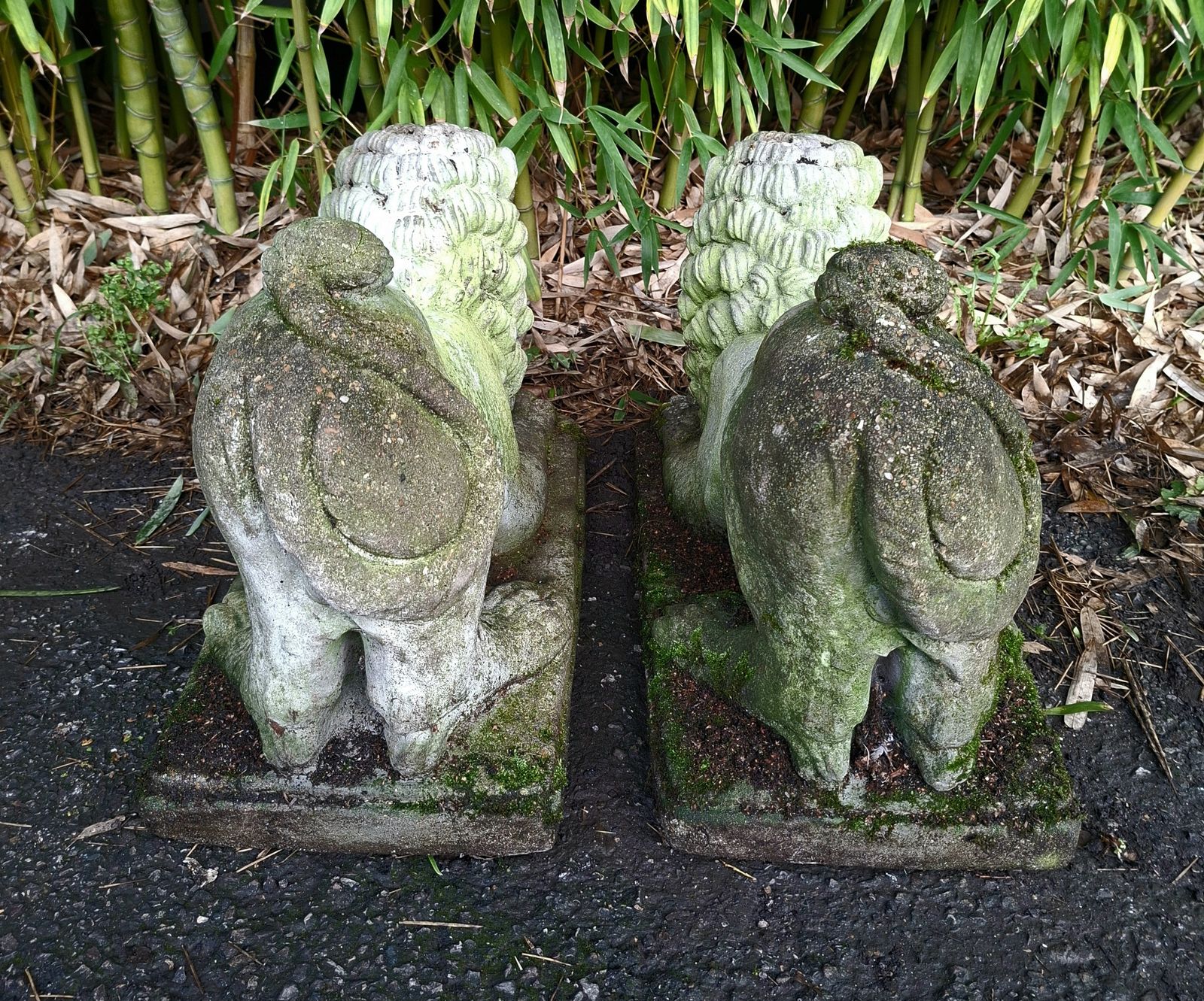 Garden Decor Pair Of Antique Stone Recumbent Guardian Lions photo