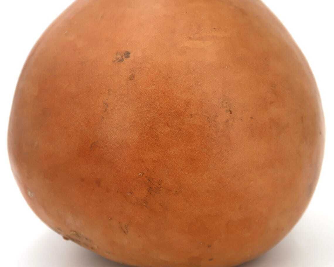 Large French Dried Gourd 1950s Home Decor Wood  Country Rustic Farm Nature Natural Folk Art Farmhouse Giant Vegetable photo vinterior