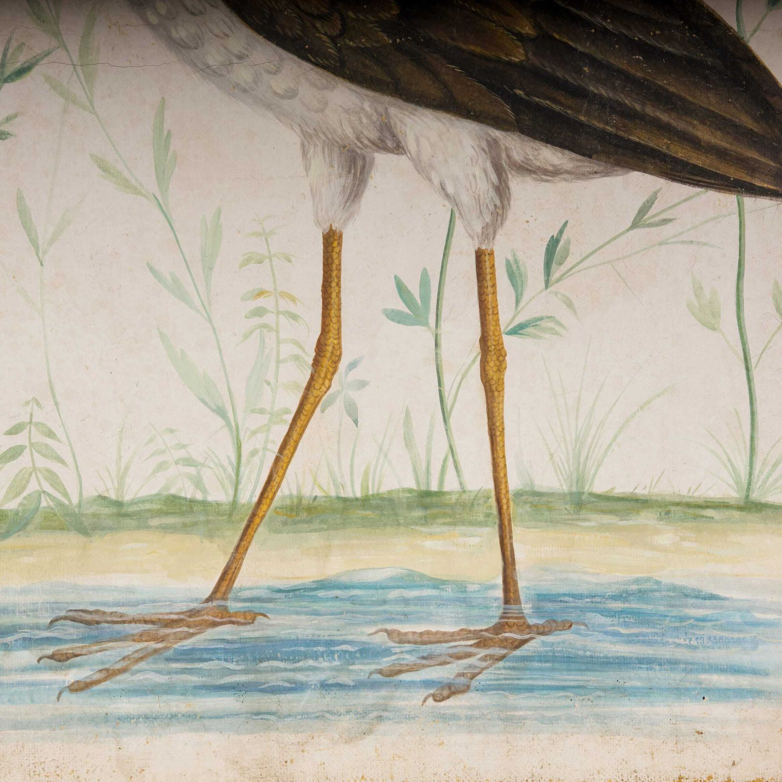 Big Birds photo vintage