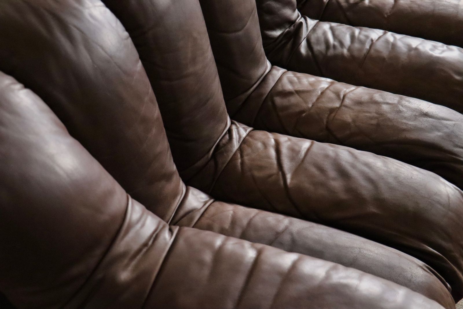 De Sede Ds 600 Sectional Sofa By Heinz Ulrich, Ueli Berger And Eleanora Peduzzi Riva, 1980s photo Furniture