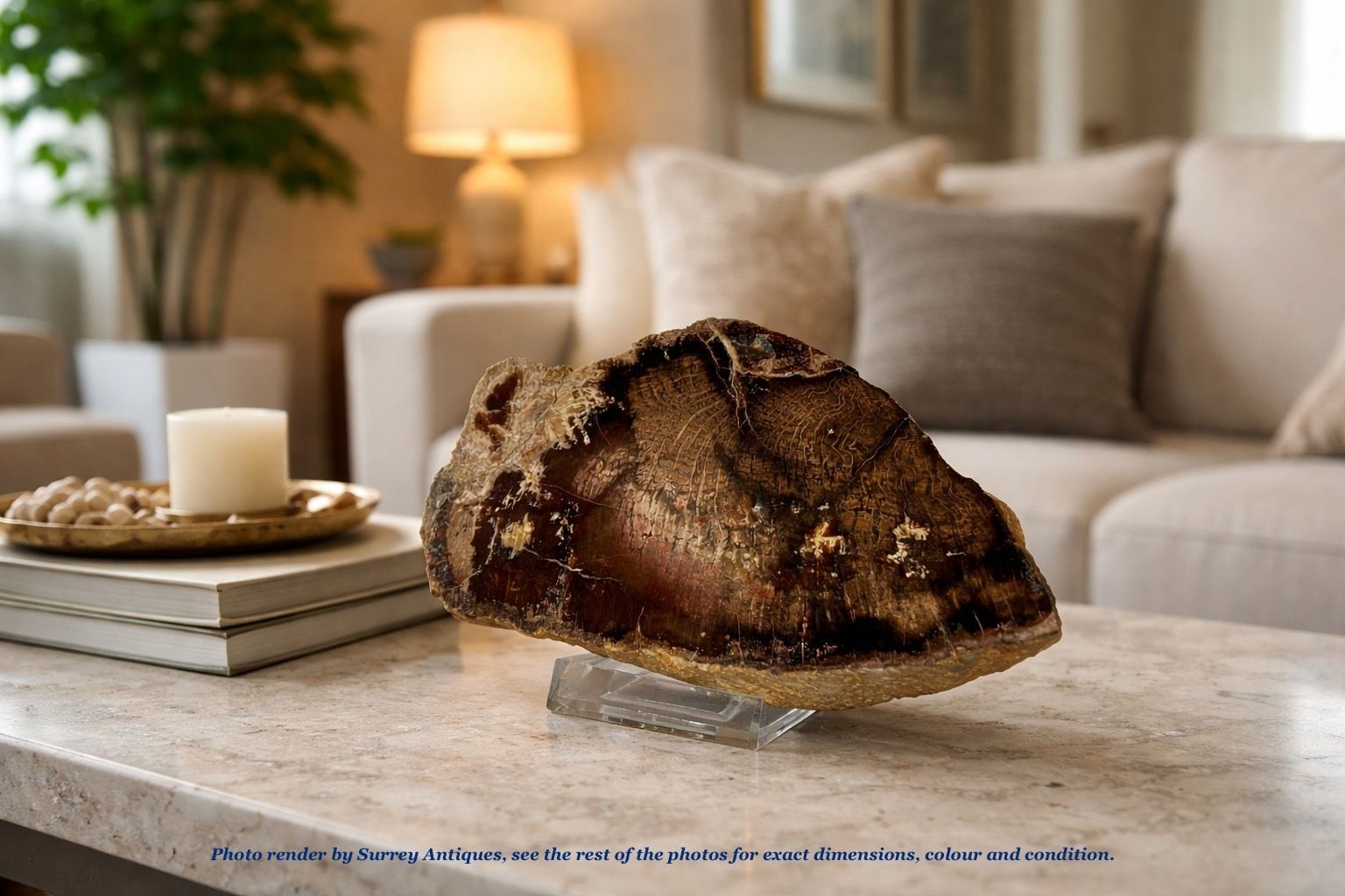 A Small Fossilised Or Petrified Wood Specimen, Polished And Mounted On A Perspex Stand, Circa 120 To 240 Million Years Old photo vintage