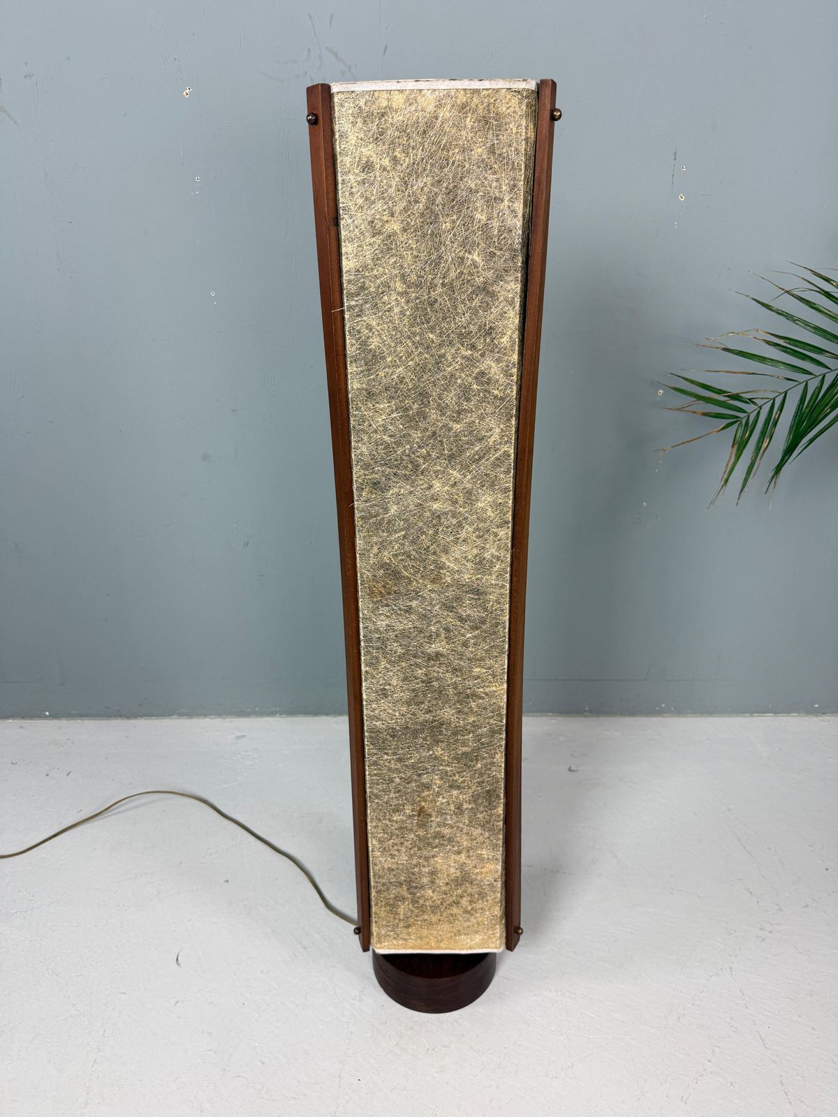 2129.0 Danish Mid Century Fiberglass And Teak Floor Lamp   1960 photo
