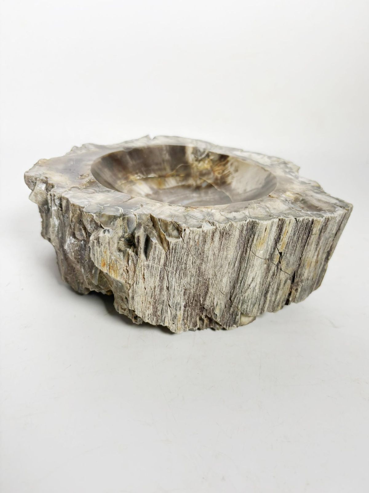 Ashtray Made Of Fossilized Wood, France, 19th photo Home Decor