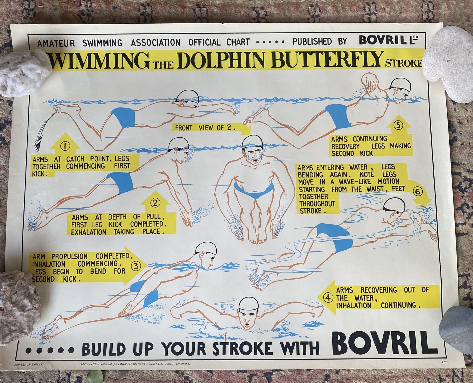 Vintage 1950s Swimming Association Poster Sponsored By Bovril. Dolphin.